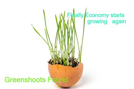 Greenshoots in Economy 